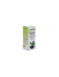 Tintura Eleuterococo-Eleutherococcus senticosus Bio 50ml Biover